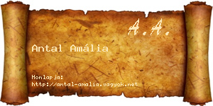 Antal Amália névjegykártya